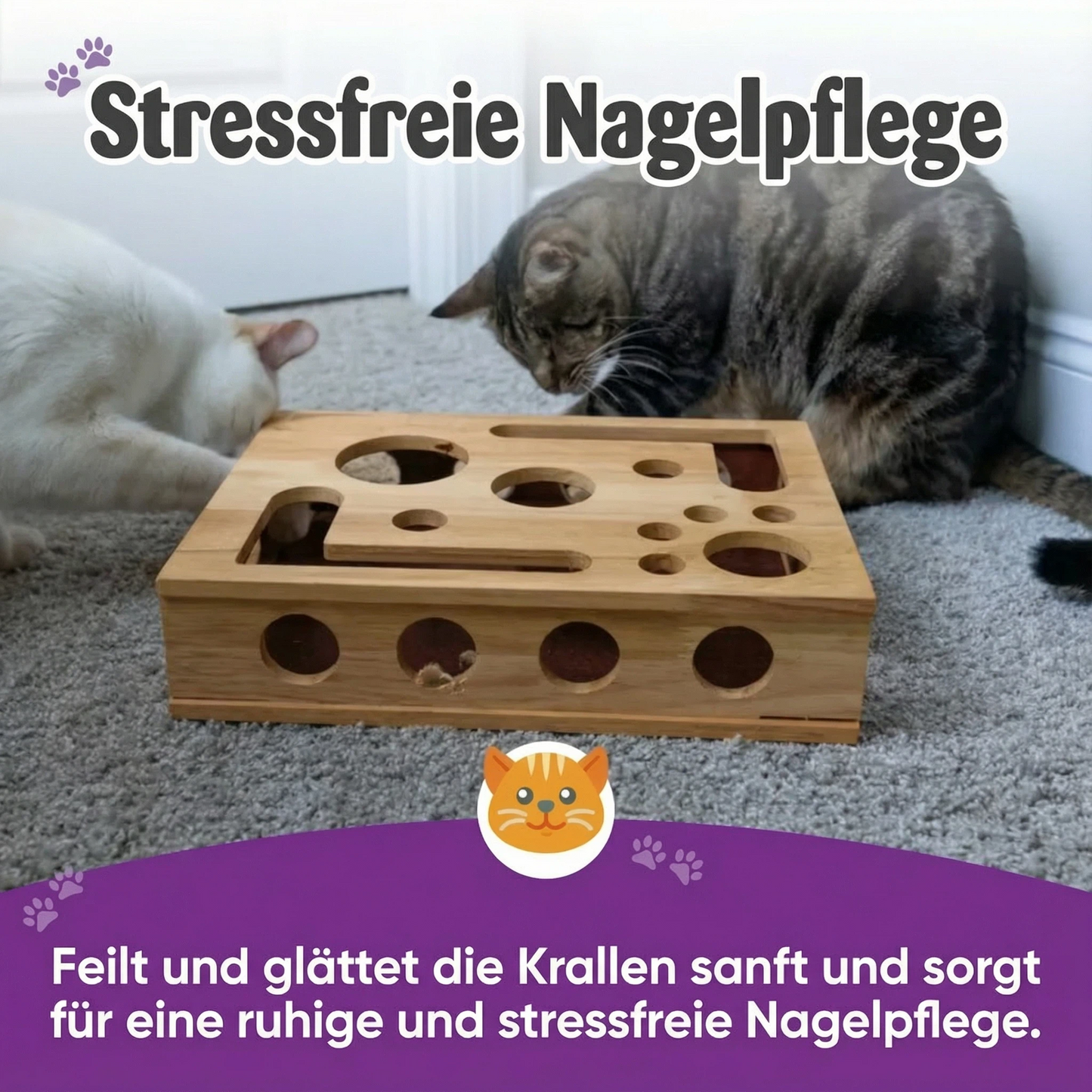 🎁😻✨Kratzpuzzle-Spielbox für Katzen: Stressfreie Alternative zu Nagelknipsern und Nagelschleifern