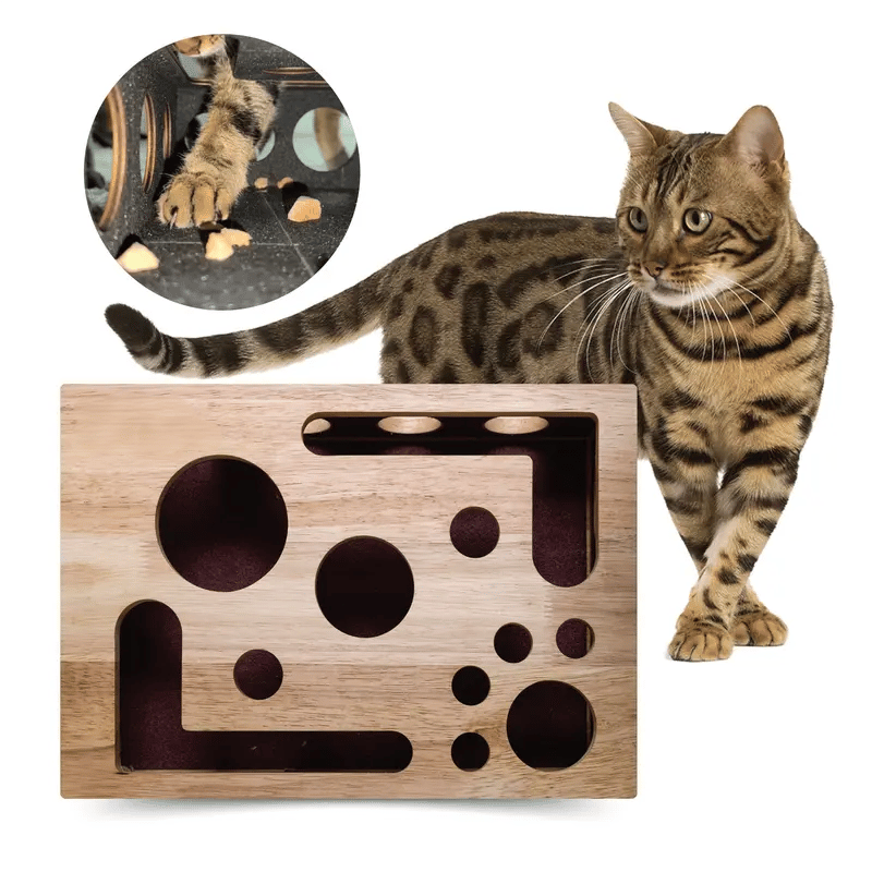 🎁😻✨Kratzpuzzle-Spielbox für Katzen: Stressfreie Alternative zu Nagelknipsern und Nagelschleifern