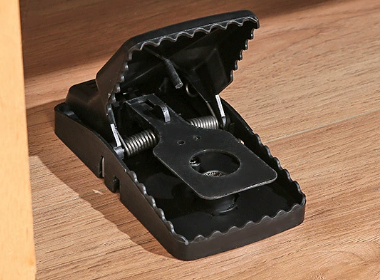 Quick-Catch Mouse Trap